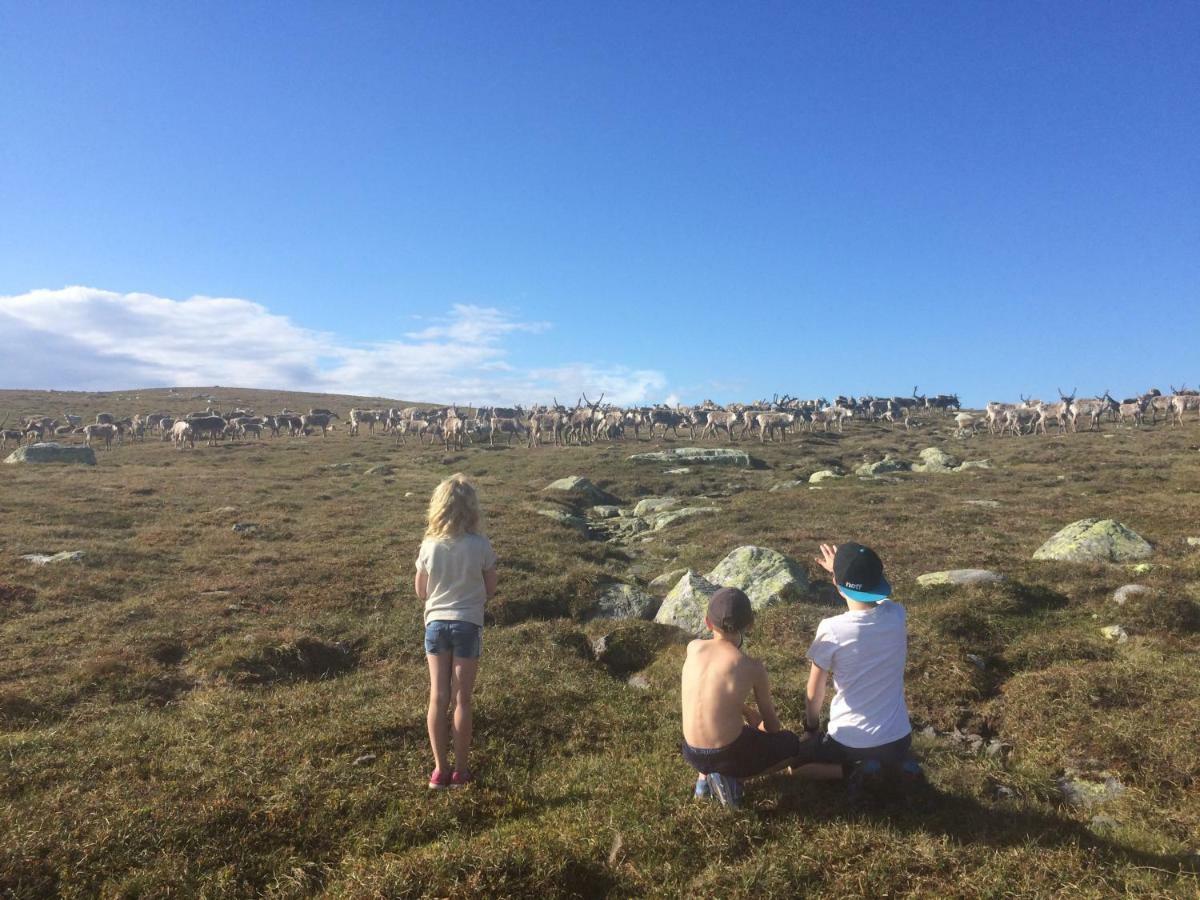 Norefjell Panorama Noresund ภายนอก รูปภาพ